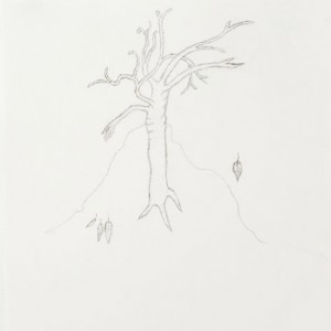 Tree Drawing by Francine Brady, Artists in Frederick and Baltimore MD