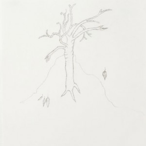 Tree Drawing by Francine Brady, Artists in Frederick and Baltimore MD